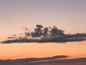春の訪れより先に